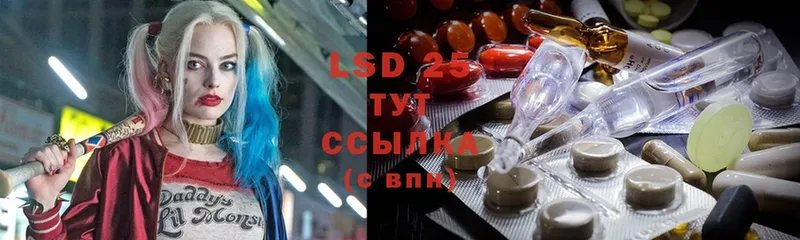 LSD-25 экстази кислота  Каменка 