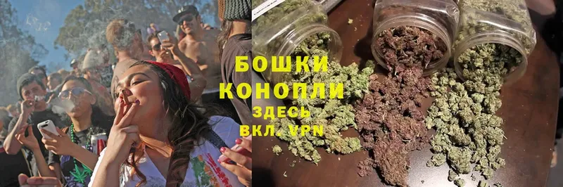 Бошки марихуана THC 21%  Каменка 